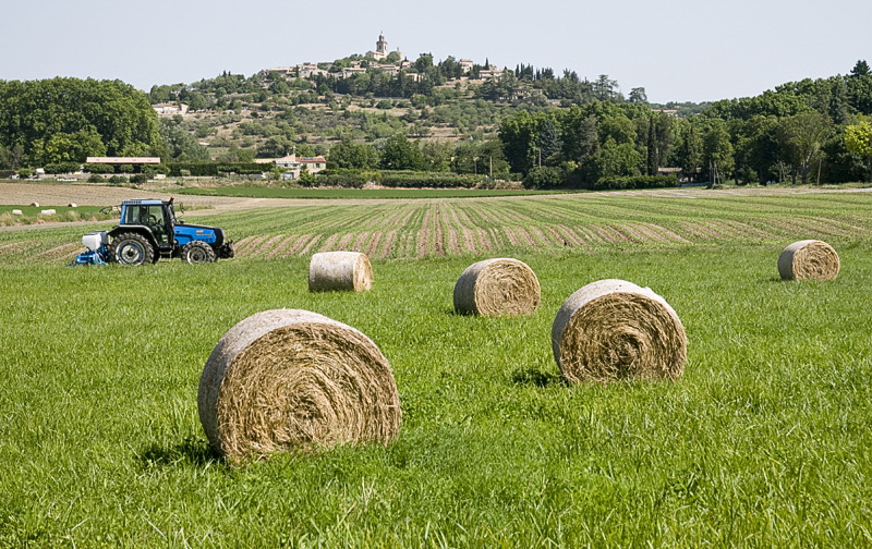 Provence 2014 +20140609_1021 als Smart-Objekt-1 Kopie.jpg - Richtung Verdon auf nunmehr breiteren Straßen genießen wir die schöne Landschaft